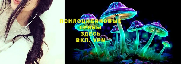 mdpv Арсеньев