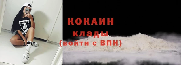 твердый Пересвет