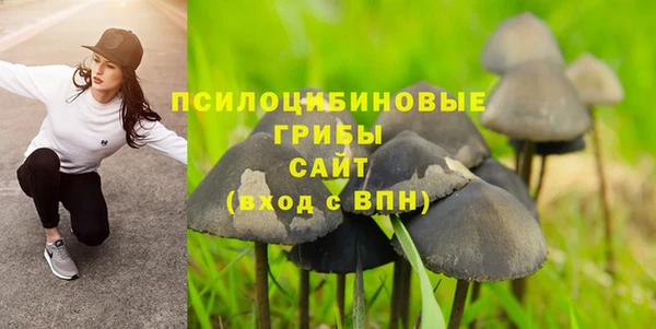 метадон Армянск