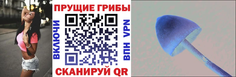 Галлюциногенные грибы мицелий купить наркотик Рузаевка